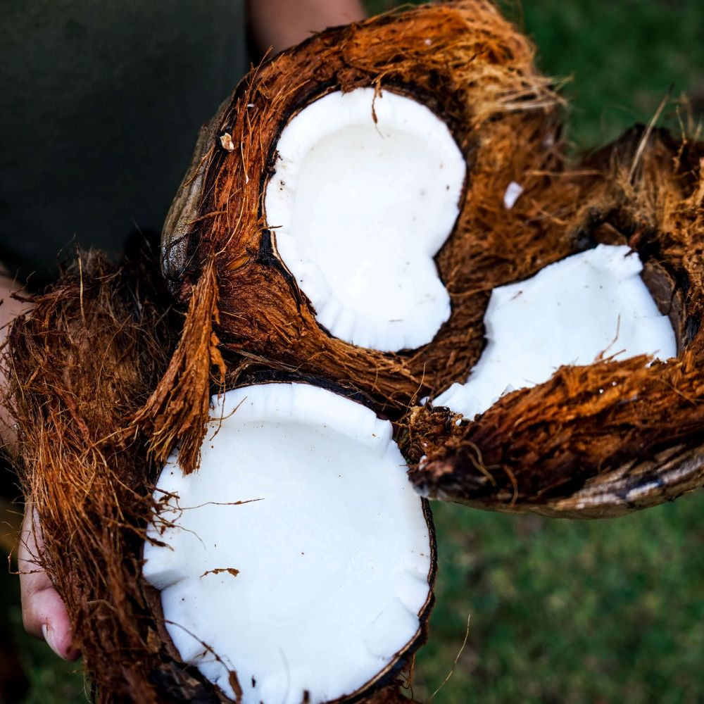 Coconut White Balsamic Vinegar 60 ml