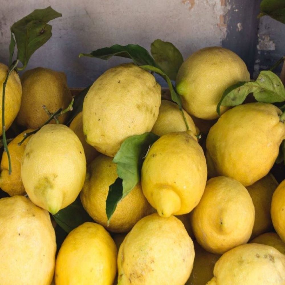 Lemon Whole Fruit Fused Agrumato
