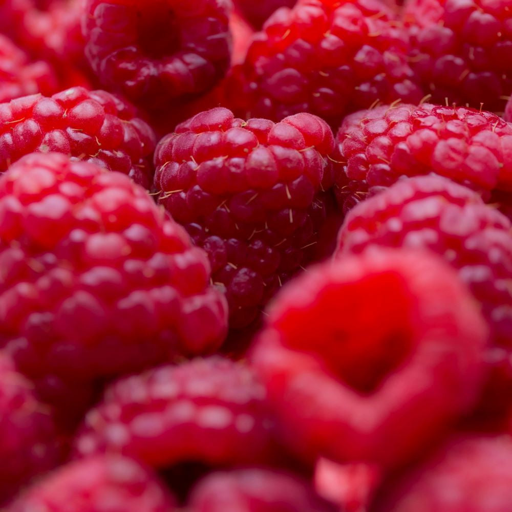 Raspberry Dark Balsamic Vinegar FOM