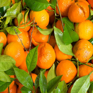 Tangerine Dark Balsamic Vinegar 60 ml